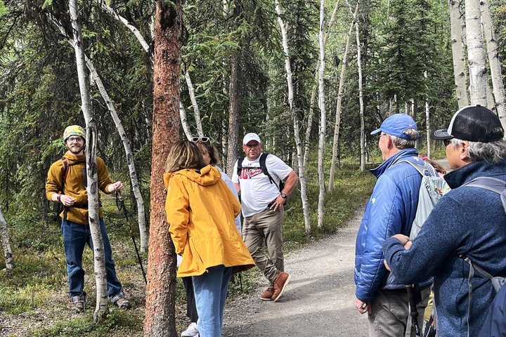 Denali Park Nature Walk (3 Hours) w/Expert Naturalist