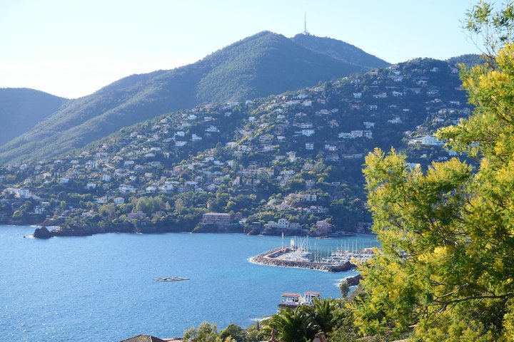 Saint-Tropez Small-Group Shared Tour