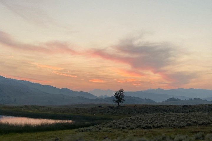 Private Yellowstone Lower Loop Sites & Wildlife Tour from Bozeman