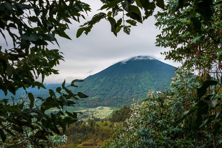 1 Day Dian Fossey Tomb Hike