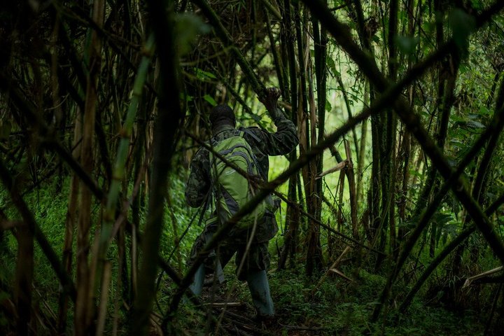 1 Day Dian Fossey Tomb Hike