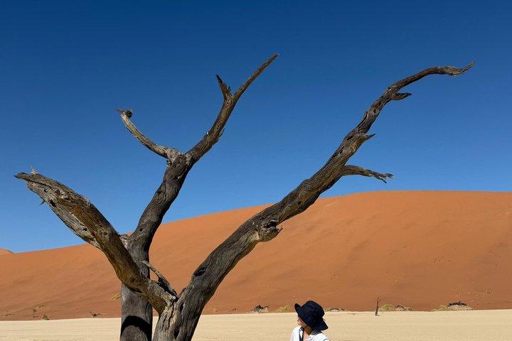 3-Day Sossusvlei & Deadvlei Shared Desert Tour from Windhoek