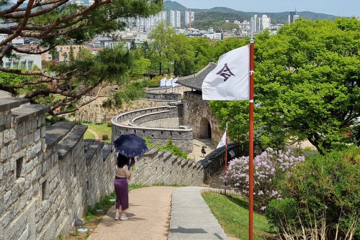 Discover Suwon: UNESCO Fortress & Hidden Gems Private Tour