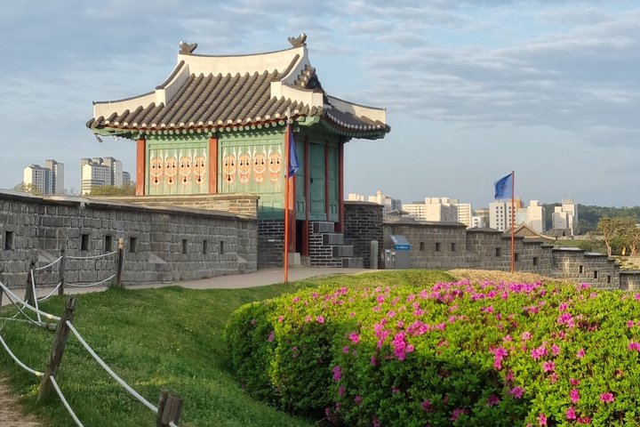 Discover Suwon: UNESCO Fortress & Hidden Gems Private Tour