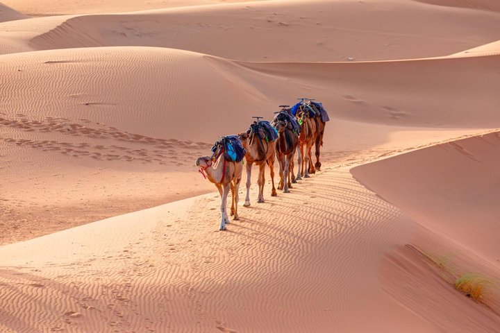 4 Days Sahara Desert Tour from Marrakech to Merzouga