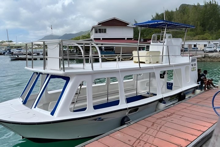 Reef Safari - Snorkeling, Fish Feeding & Lunch (Shared Day Trip)