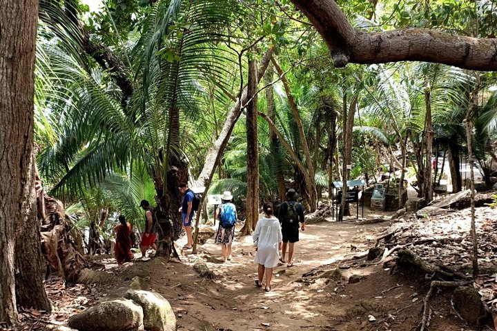 Reef Safari - Snorkeling, Fish Feeding & Lunch (Shared Day Trip)