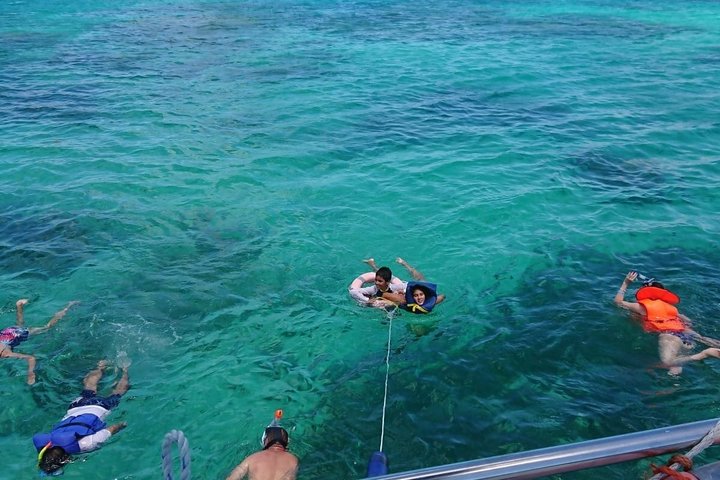 Reef Safari - Snorkeling, Fish Feeding & Lunch (Shared Day Trip)