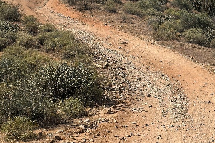 Scottsdale Area Honda UTV/ATV- Bigfoot Desert Adventure UTV Tours