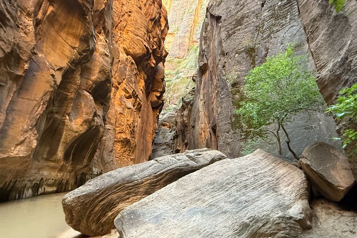 Zion Narrows: Private Guided Hike + Picnic (Gear Included)