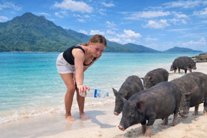 Koh Samui: Private Speedboat Koh Taen & Pig Island Snorkeling