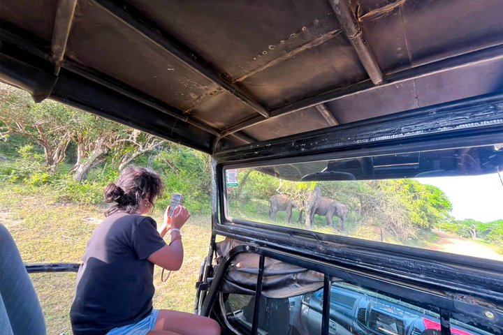 All inclusive Yala Private Leopard Safari: Naturalist & More