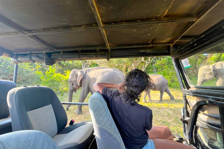 All inclusive Yala Private Leopard Safari: Naturalist & More