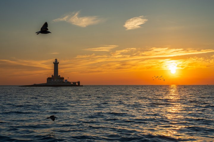 Medulin: 85% Dolphin Sunset Cruise, All-Inclusive & Face Painting