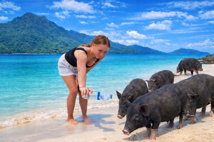 Koh Samui: Private Speedboat Koh Taen & Pig Island Snorkeling