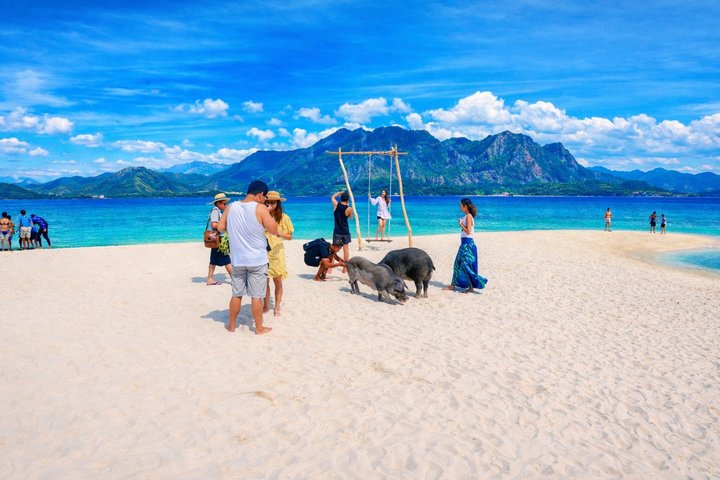 Koh Samui: Private Speedboat Koh Taen & Pig Island Snorkeling