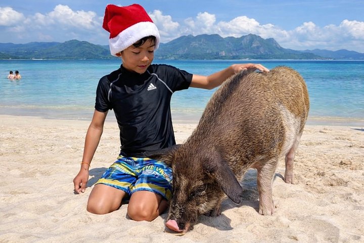 Koh Samui: Private Speedboat Koh Taen & Pig Island Snorkeling