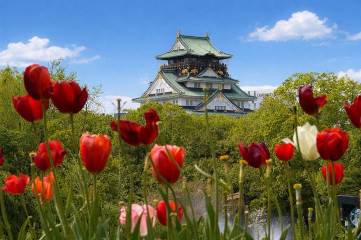 Osaka Flavors & Landmarks: Castle, Shinsekai & Food Tasting