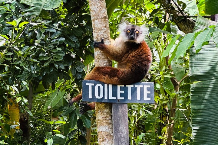 Nosy Komba and Tanikely Day Tour