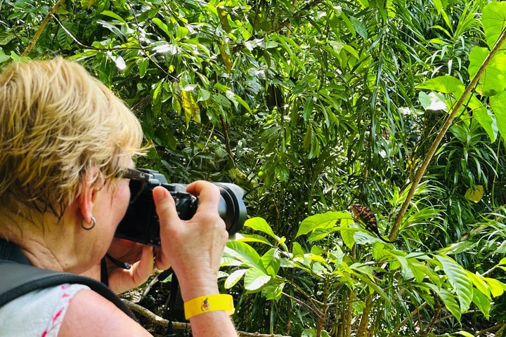 Nosy Komba and Tanikely Day Tour