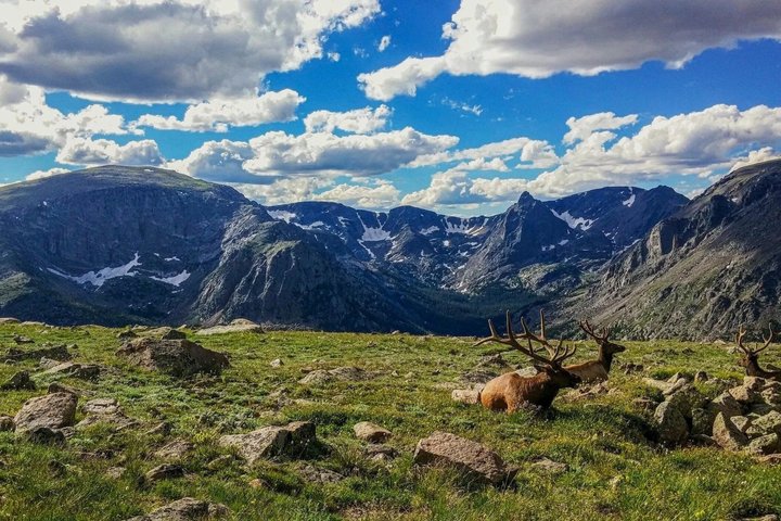Rocky Mountain National Park Tour and Picnic