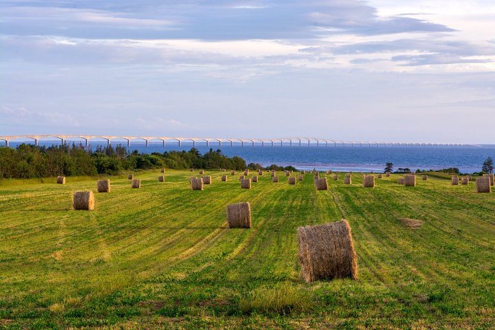 Anne of Green Gables and PEI North Shore Bus Tour