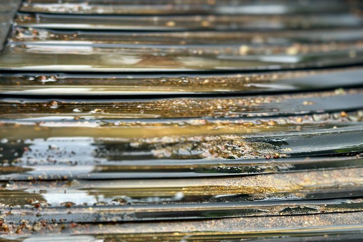 Gold Panning Experience at Kuttura Claim Lapland