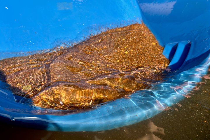 Gold Panning Experience at Kuttura Claim Lapland