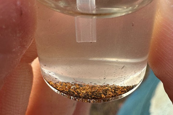 Gold Panning Experience at Kuttura Claim Lapland