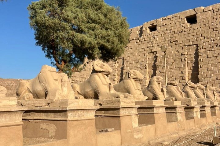 Private Day Trip to Luxor from Hurghada and Valley of the Kings