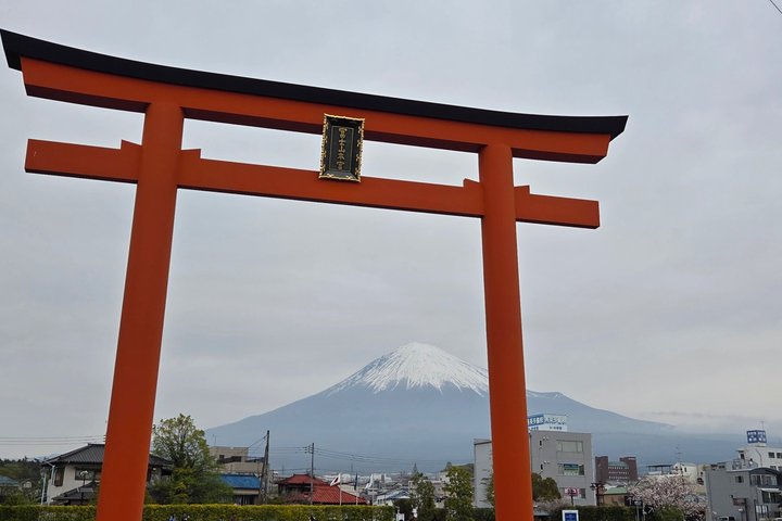 All-about Mt.Fuji Short Tour from Shimizu Port