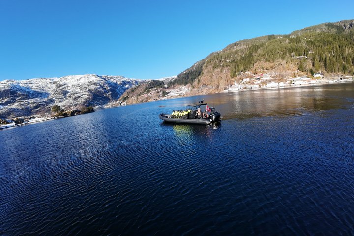 Bergen: Mostraumen Fjord Safari - by Premium RIB Boat