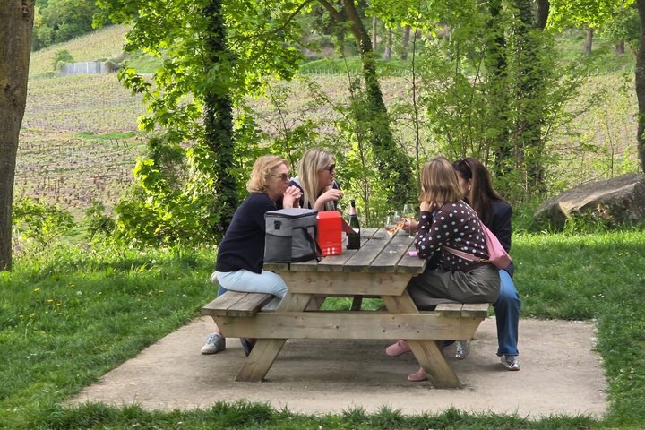 Epernay South Half Day Visit and Champagne Tastings