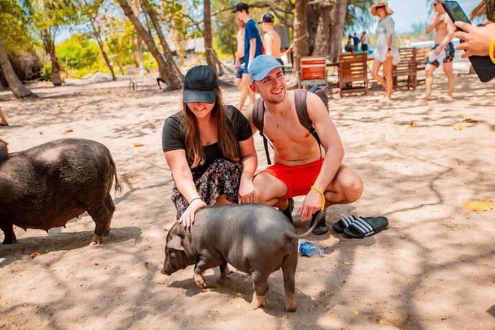 Koh Samui: Private Speedboat Koh Taen & Pig Island Snorkeling