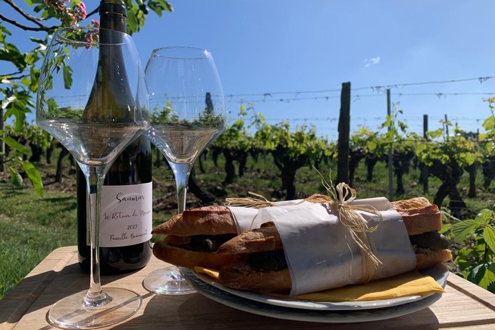 Wine Tasting with the Winemaker at Domaine Beaumont Distré-Saumur