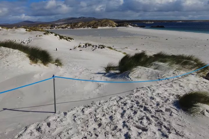 Falkland Islands Wildlife & Stanley Highlights Tour