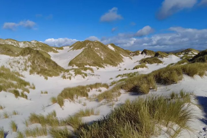 Falkland Islands Wildlife & Stanley Highlights Tour