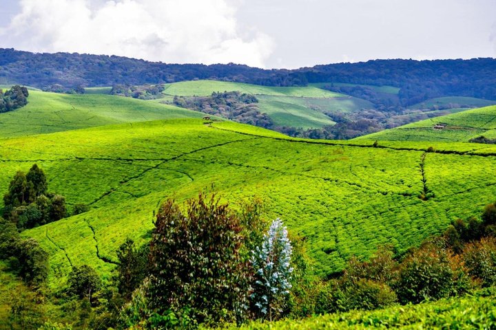 3 Days discovering the beauty of Burundi