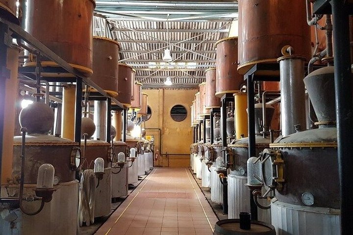 Elqui Valley Tour with Pisco Tasting and Lunch
