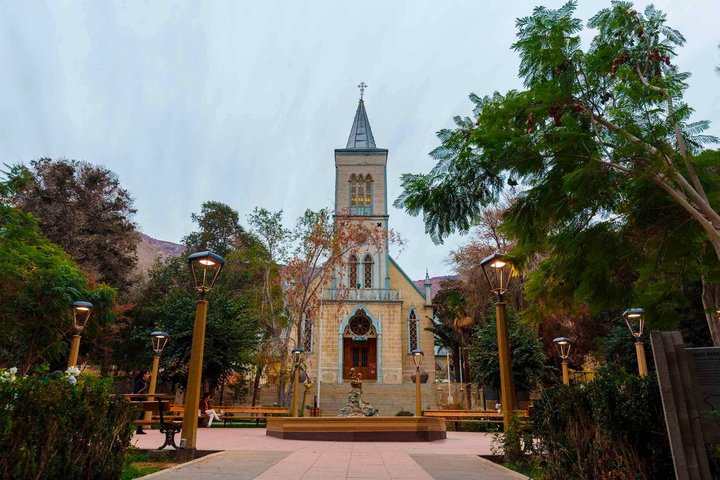 Elqui Valley Tour with Pisco Tasting and Lunch