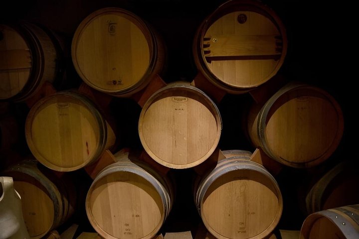 Elqui Valley Tour with Pisco Tasting and Lunch