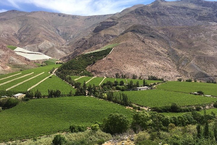 Elqui Valley Tour with Pisco Tasting and Lunch