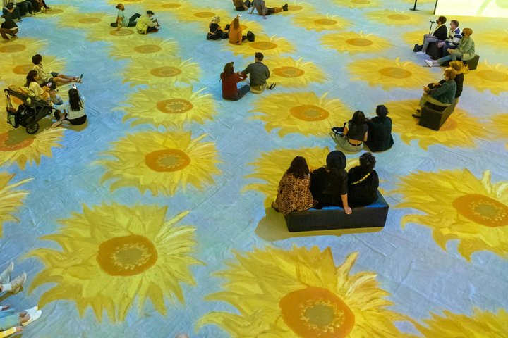 Van Gogh Museum with Audio guide