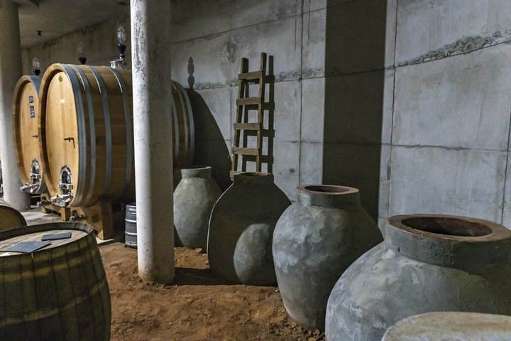 Wine and Mountain Experience