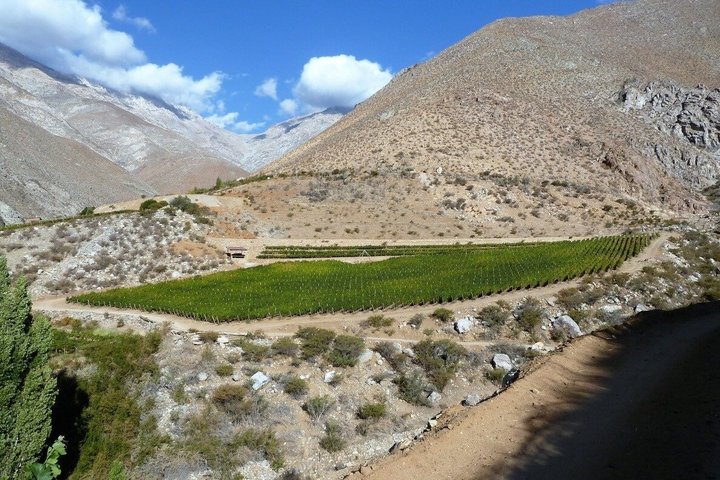 Wine and Mountain Experience