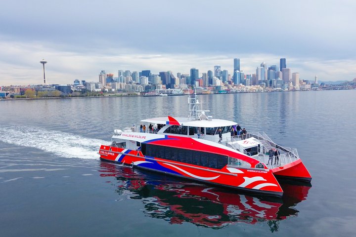Seattle: Half-Day Wildlife and Whale Watching Cruise