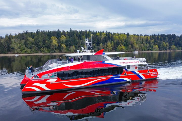 Seattle: Half-Day Wildlife and Whale Watching Cruise