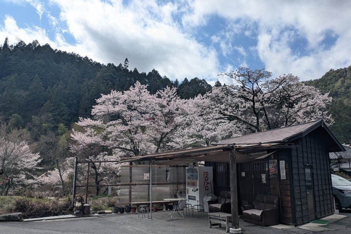 Magome to Tsumago Hiking Tour from Nagoya