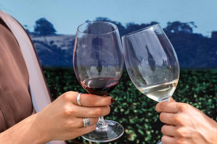 Barossa Valley Premium Wine Tasting Experience with Winery Lunch