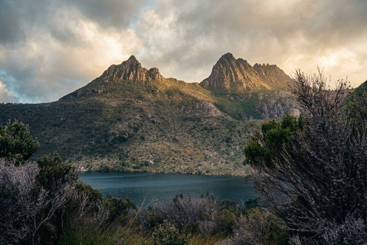 Cradle Mountain Day Tour from Launceston